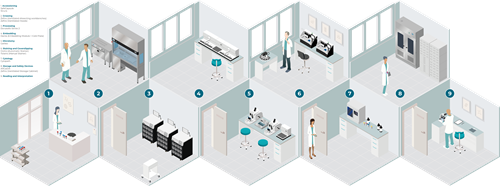 Diapath Complete Lab Workflow