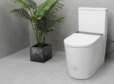 Smart dusjtoalett RG806000 miljøbilde