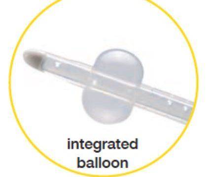 Nephrostomy